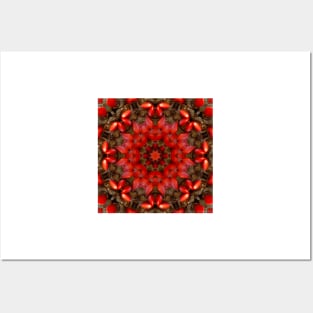 Kaleidoscope - Red Seeds #1 Posters and Art